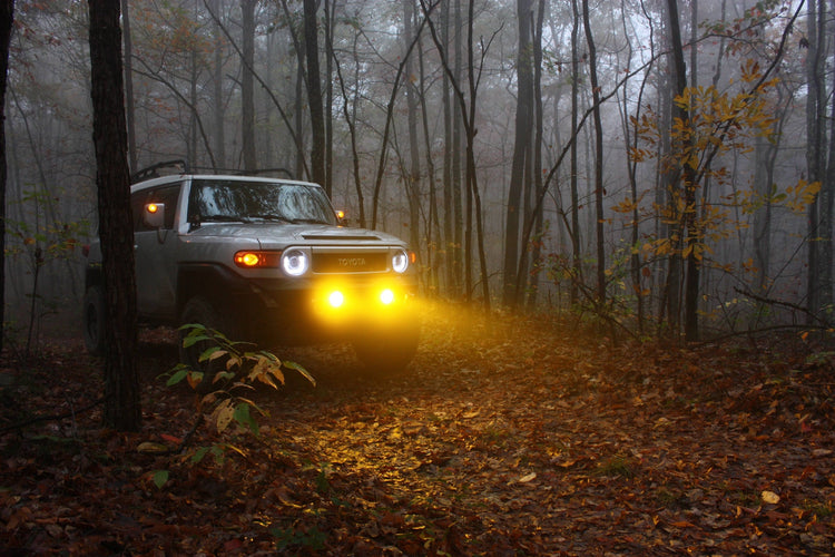 FJ with lights on at dusk in forest